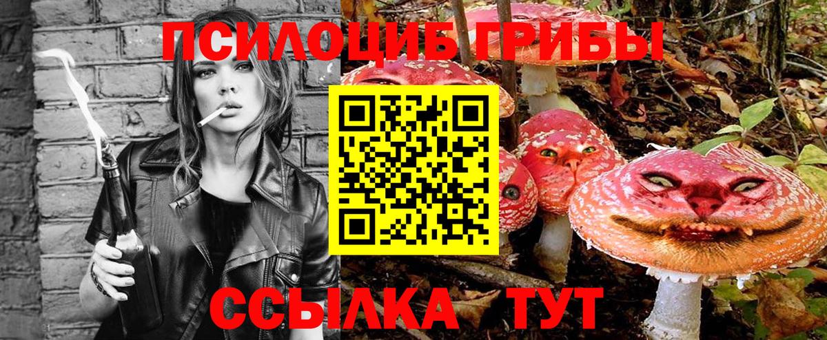 Галлюциногенные грибы Psilocybine cubensis  Галлюциногенные грибы Cubensis  Кандалакша  Вход с VPN 