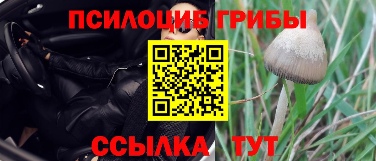Галлюциногенные грибы мицелий Кандалакша